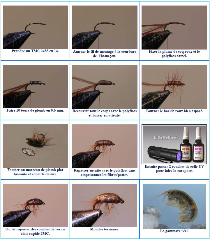 Images montages gammare nicolas 39