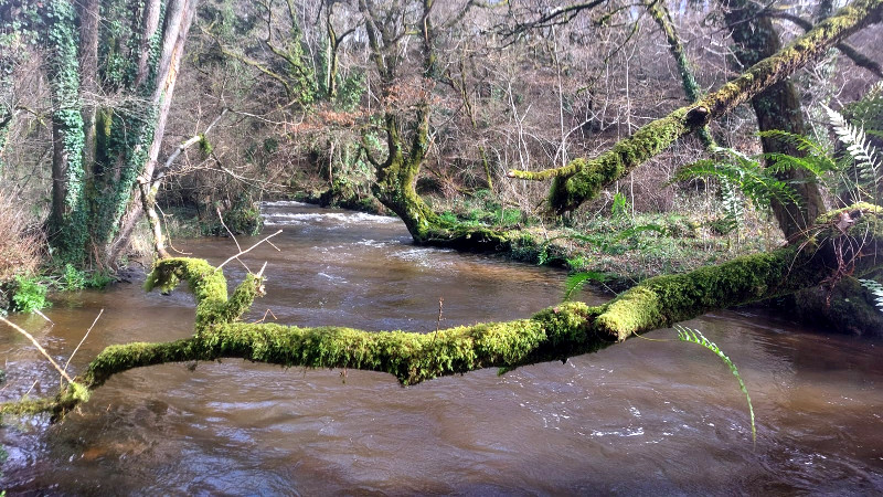 Pas mal d'eau en ce début de saison