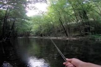 Les moucheurs nantais - Pêche en Bulgarie