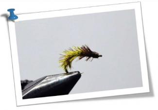 Two-Tone-Ojo