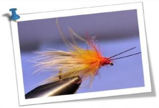 sedge