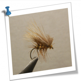 elk hair caddis