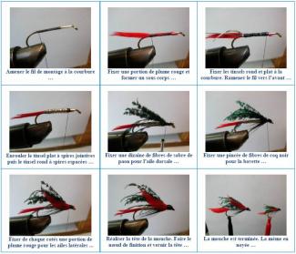 Images montages Alexandra