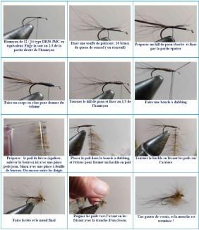 Images montages Araignée lièvre