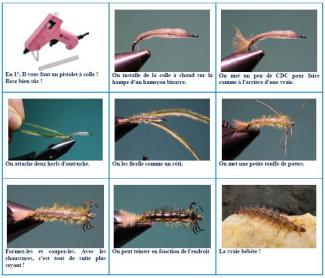 Images montages rhyacophila