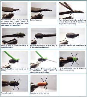 Images montage scarabée en foam