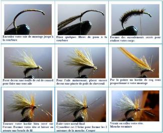 Images montage Championne du monde
