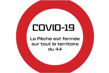 Covid-19