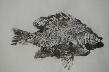 gyotaku
