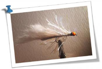 poissonet